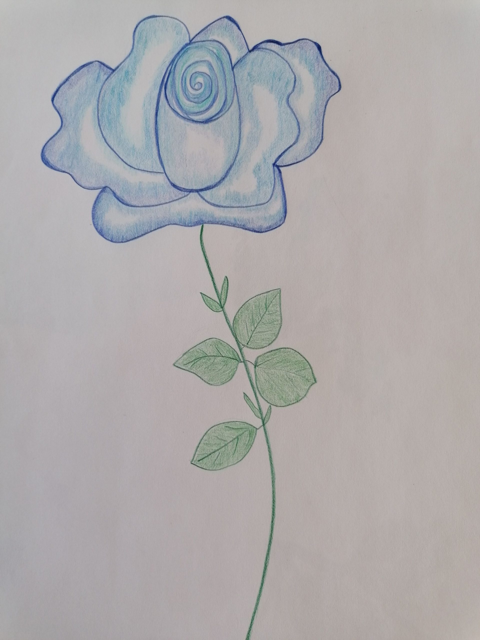 Meine Rosenmagie: Für die Himmelskinder, die gerade erwachen