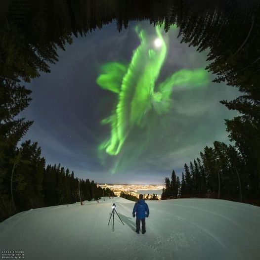Aurora I geteilt von Ramona Lappin