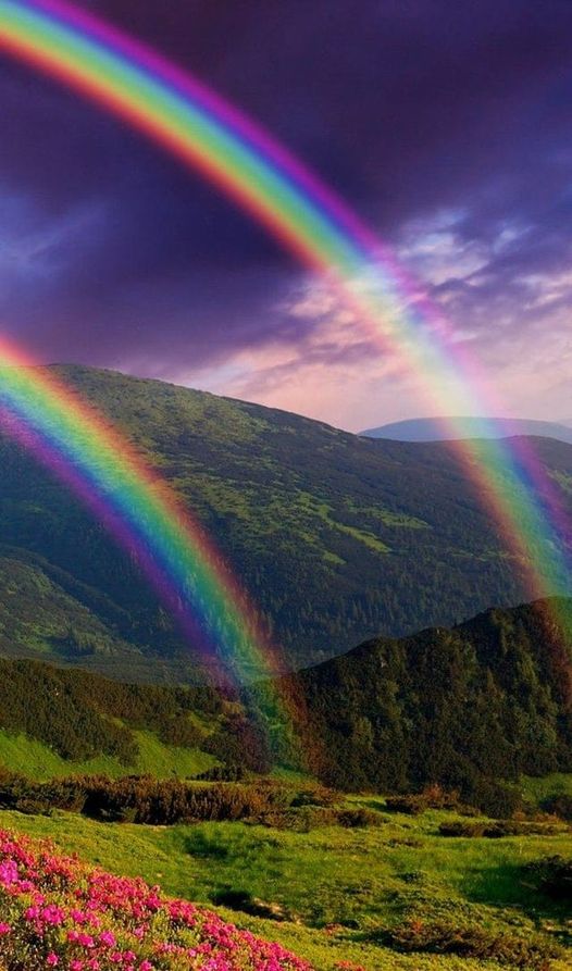 Ramona Lappin: Durchführung von Regenbogenrunden/ Frequenzen zur Beseitigung der Inversionen / Matrix-Umkehrungen. 25.06.2022, 15 Uhr