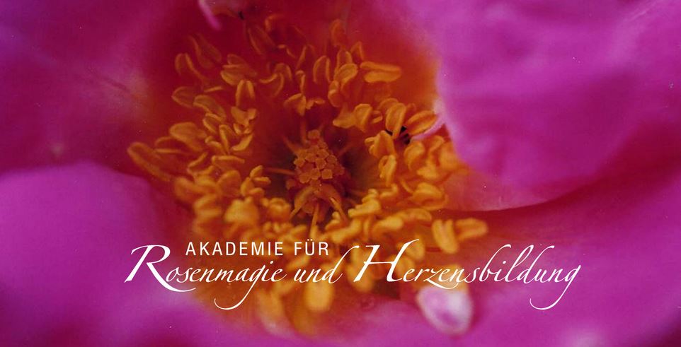 Rosenmagie: Die Sache mit dem  H e r z h ö r e n. 08.11.2022