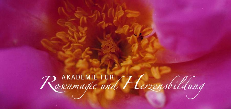 Rosenmagie: Die L i e b e s r e v o l u t i o n: Im Feld der neuen Erde