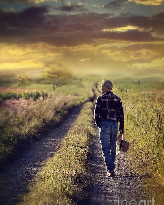 Geh weiter … in Richtung SONNE!
