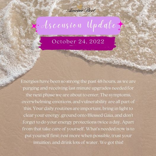 Amelia Bert: Aufstiegs-Update 24.10.2022