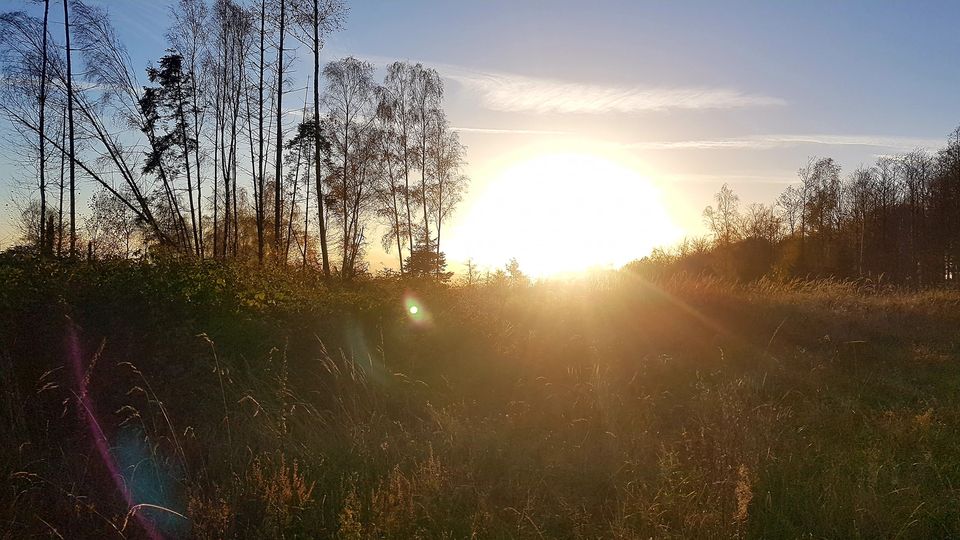 Elisabeth Westhoff: Verborgenes kommt ans Licht. 25.11.2022