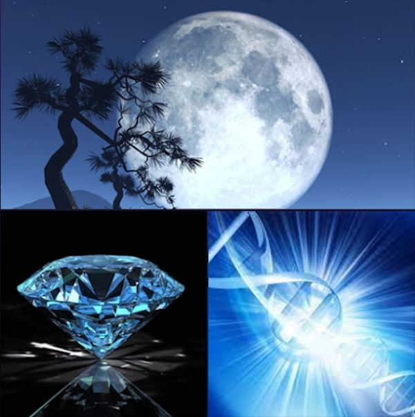 Celia Fenn: Der Vollmond/die totale Mondfinsternis und das Portal 11/11
