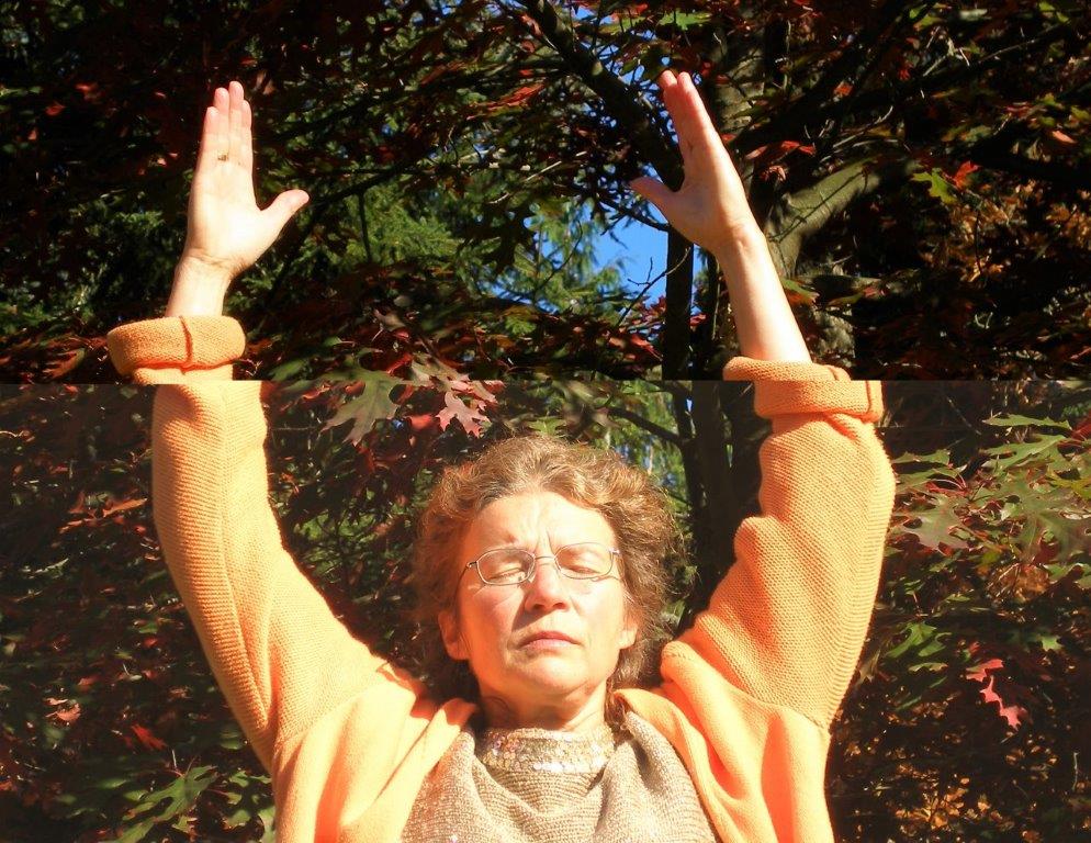 Heilige Botschaft zu den aktuellen Zeitgeschehnissen Teil 2. Von Johannes Holey