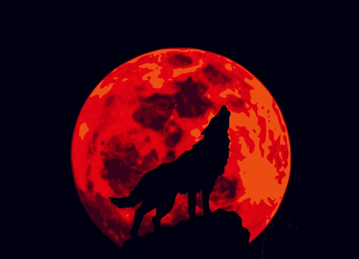 07. Januar 2023 = 717 = Wolfsmond im Zeichen des Krebses bringt tiefgreifende Auswirkungen auf euer Privatleben