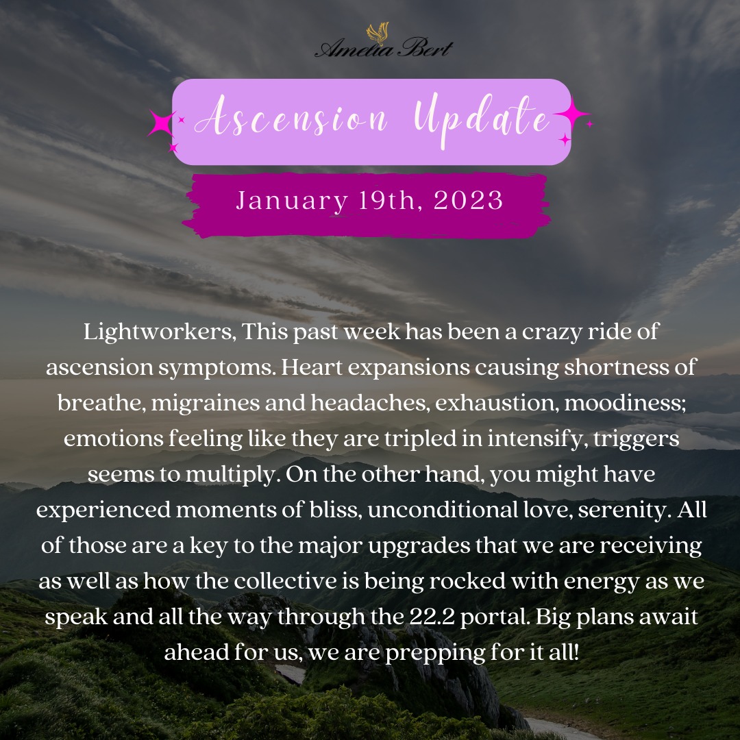 Amelia Bert: Aufstiegs-Update 19./20.01.2023