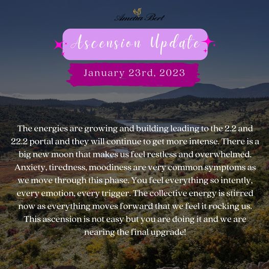 Amelia Bert: Aufstiegs-Update 23./24.01.2023