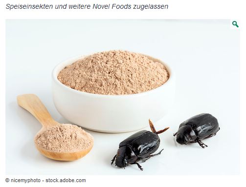 Ab 24.01.2023: Die EU hat die Genehmigung erteilt, Insekten (Hausgrillen) in Backwaren, Teigwaren und andere Teilfertigprodukte „für die allgemeine Bevölkerung“ mit beizumischen. Aktualisierung 22.01.2023