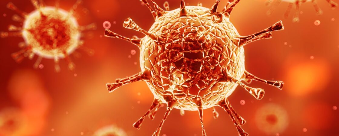 Rene Gräber: Nattokinase verdaut Spike-Proteine?
