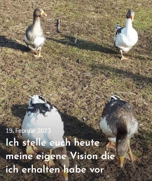 Margit Kaufmann: Ich stelle euch heute meine eigene Vision, die ich erhalten habe, vor
