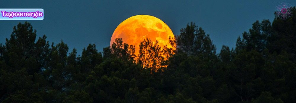 Allesistenergie: Tagesenergie am 05. Februar 2023 (VOLLMOND im Sternzeichen LÖWEN | HERZENERGIE & FREIHEIT)