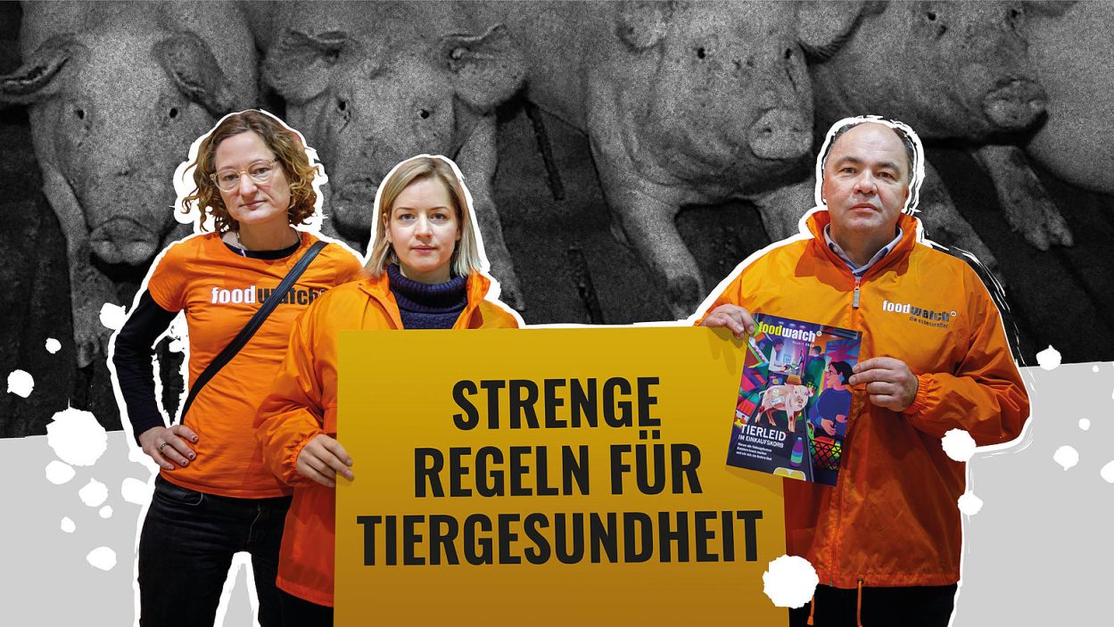 foodwatch: Tierleid beenden: Ihre Stimme für gesunde Tiere!