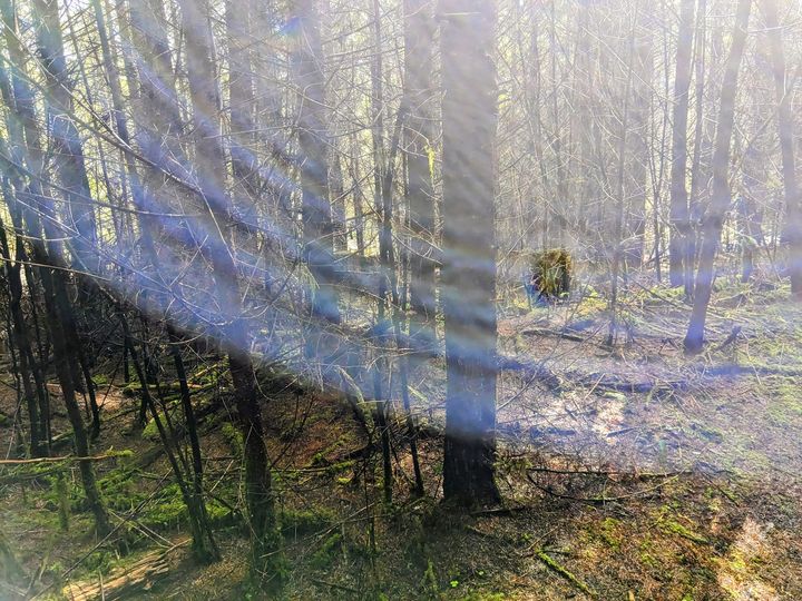 Pars Kutay: WIR ERLEBEN JETZT einen MASSIVEN ZUFLUSS = Anstieg von PHOTONISCHEN PLASMAENERGIEN mit MASSIVEN VERÄNDERUNGEN auf allen Ebenen!!!