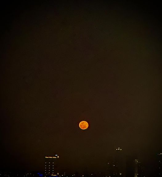 Birgit Fischer: Der Mond ist anSCHEINend heute voll?! 07.04.2023