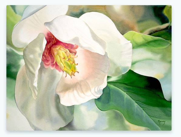 Celia Fenn: Celias Blog – 4. April 2023 I Das 4/4 Kraftportal