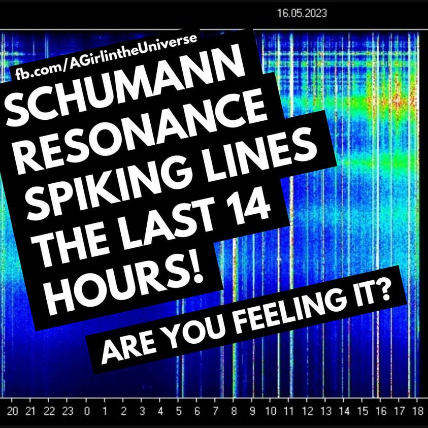 Schumann-Resonanz-Aufzeichnungs-Spitzenwerte. Und das alles wegen dir & durch dich! Sherri Smith