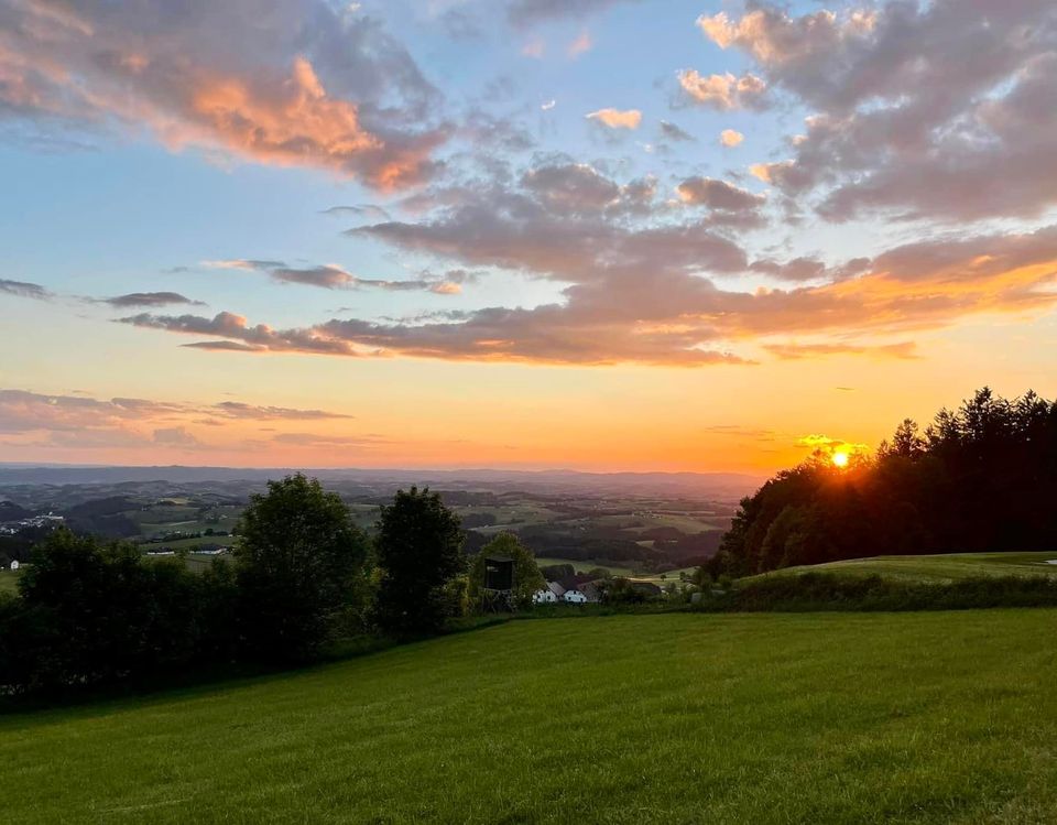 Portaltag 19 – Pfingsten. Adelheid Brunner