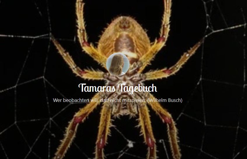 Ohne Skrupel – oder: Diagnose: Filz. T. Breitschneider
