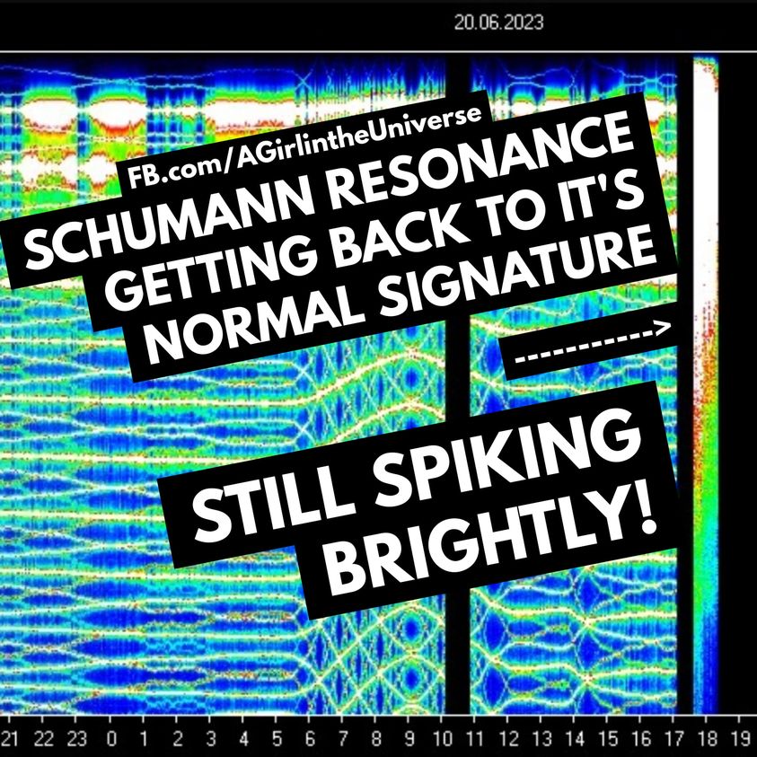 Die Schumann-Resonanz steigert sich … Sherri Smith