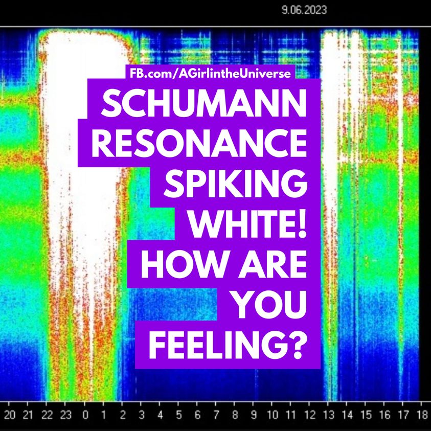 Die Schumannresonanz-Aufzeichnung fährt zu Höchstform auf, was die Energie der LIEBES-Ankündigungswelle konstant hält. Sherri Smith