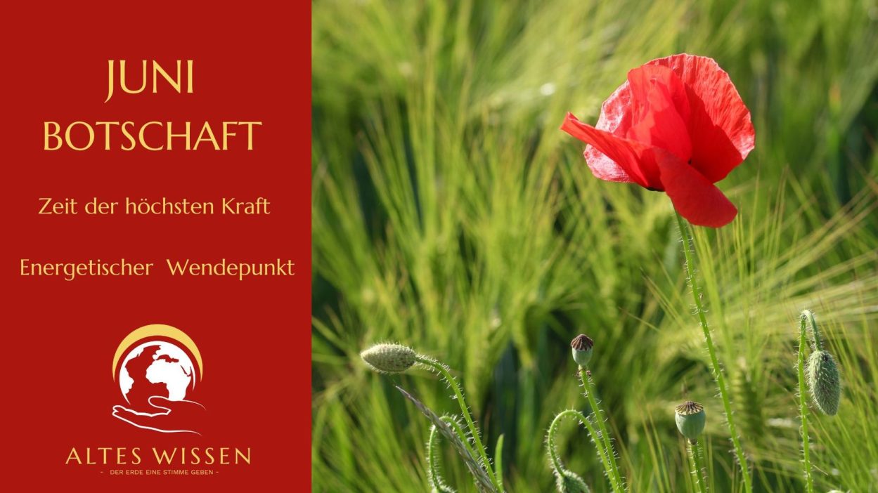 JUNI – Monat der höchsten Kraft und des energetischen Wendepunkts dieses Jahres. Adelheid Brunner