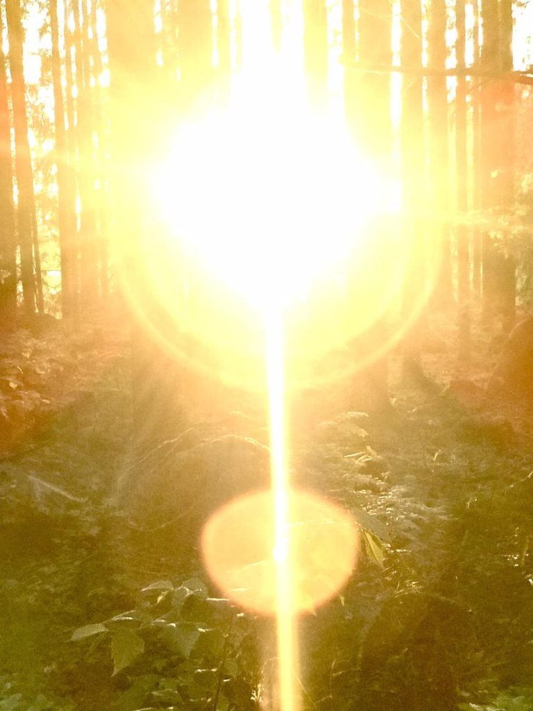 Die ENERGETISCHEN Transformationen, die JETZT auf der Erde stattfinden, finden in einer anderen alternativen REALITÄT statt. Pars Kutay