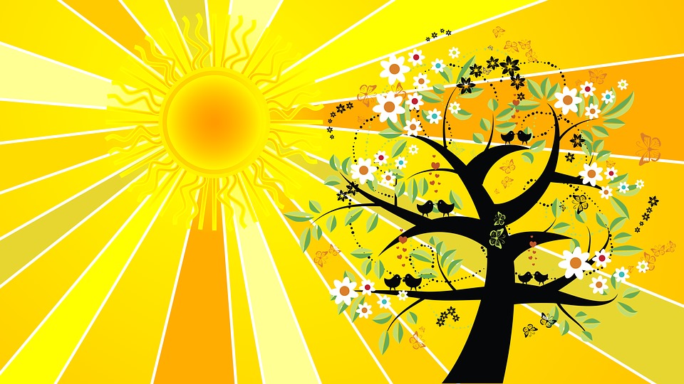 SonnenWendeSonnenEruption der Klasse X. Celia Fenn