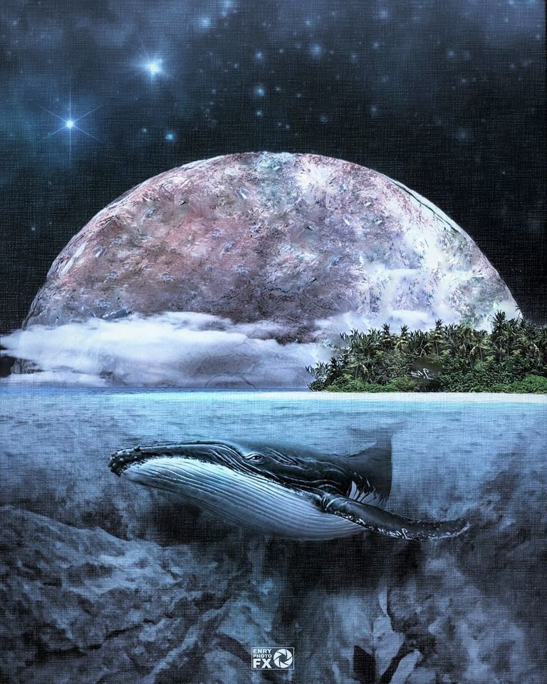 Neptun wühlt die Dinge auf, indem er den illusionären Schleier beseitigt und vom 30. Juni bis zum 6. Dezember rückläufig wird. Soheila