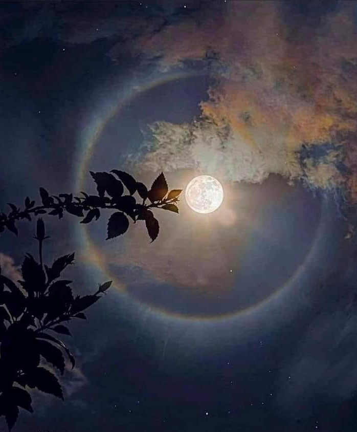 Mit dem heutigen BESONDEREN Vollmond. . . treten wir JETZT in die nächste Phase der NEUEN MORGEN-DÄMMERUNGS-ÄRA ein! Pars Kutay