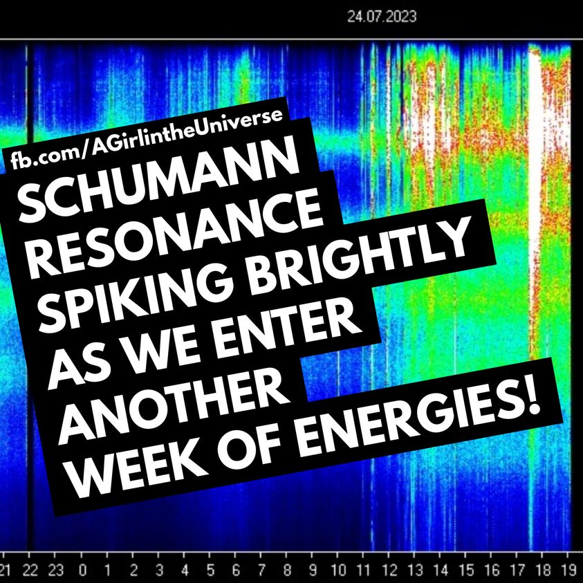Die Schumann-Resonanz steigt wieder zu Höchstwerten an & Die Sonnenwinde weisen ebenfalls Spitzenwerte auf. Sherri Smith 24.07.2023