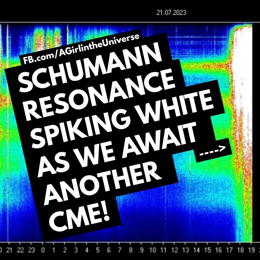Schumann White-Out/Energiespitzenwert, da die Energien in Vorbereitung auf den nächsten CME ansteigen. 21.07.2023 Sherri Smith