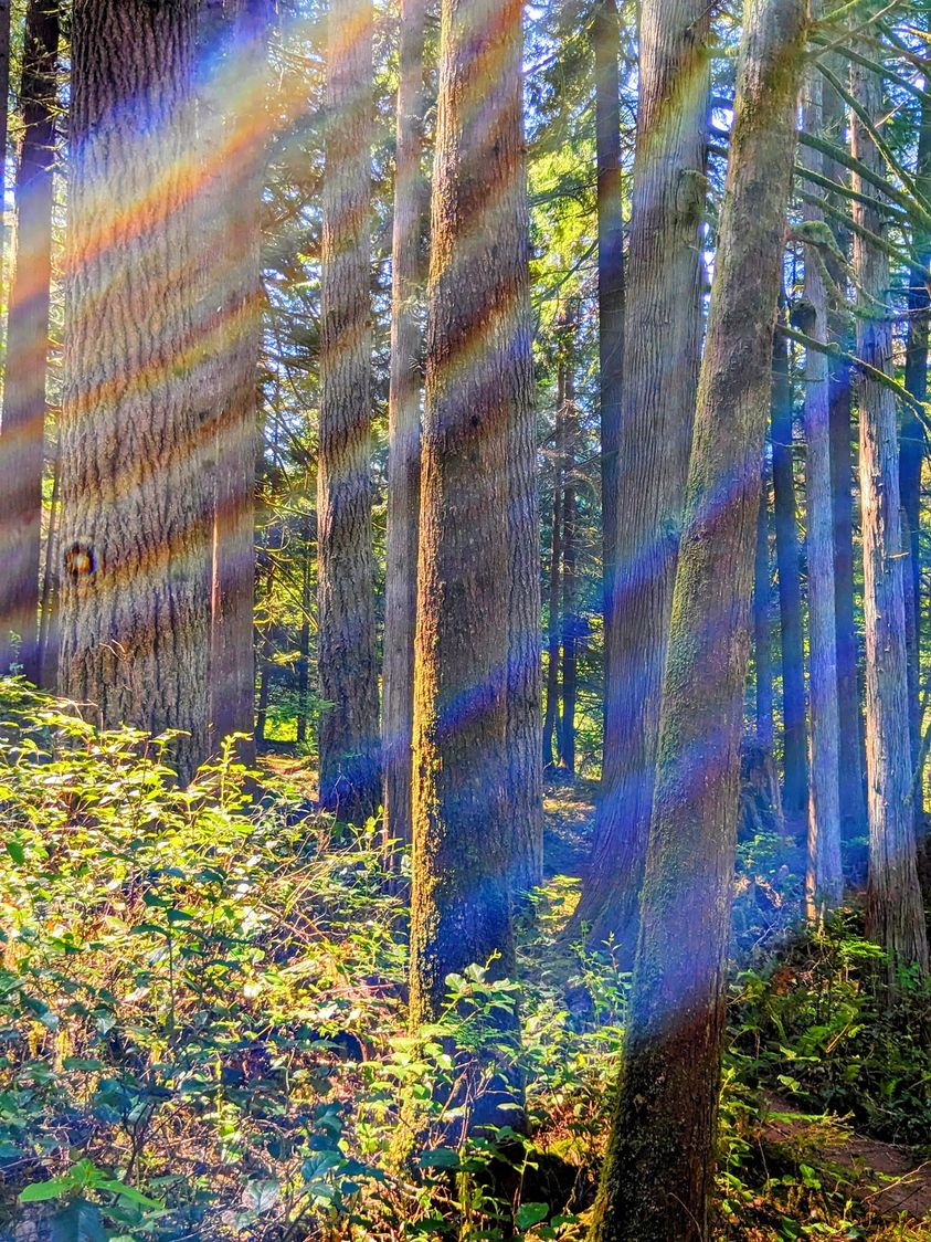 Die eintreffende GÖTTLICHE NEUE ENERGIE HÖHERER FREQUENZ lädt uns ein, auf höhere Ebenen aufzusteigen und für das HÖCHSTE und GRÖSSTE GUT für ALLE Betroffenen zu dienen! Pars Kutay