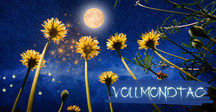 3. Juli 2023 – Der Vollmond erwacht im Steinbock. Alexa Szeli I Taste of Power