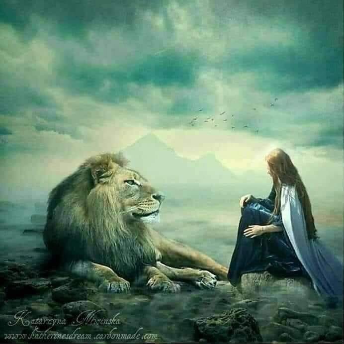 Die Frau und der Löwe ⚜️🦁💛Celia Fenn