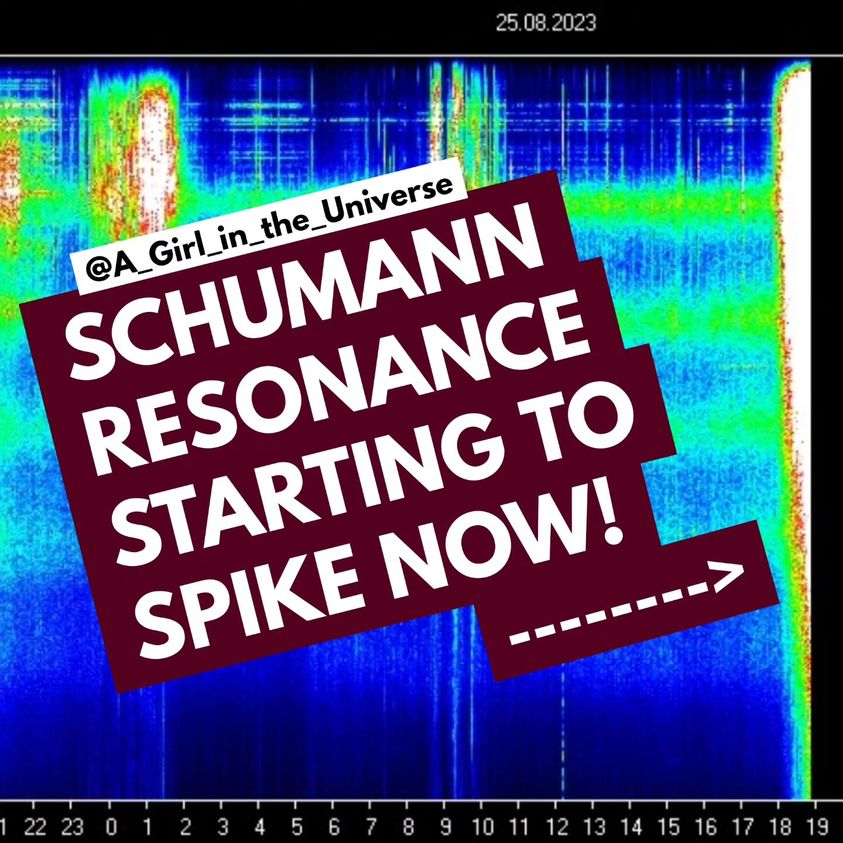 Energie-Spitzen-Werte auf der Schumann-Resonanz-Tabelle! Und: Wir bekommen einen weiteren Bonustag! Sherri Smith