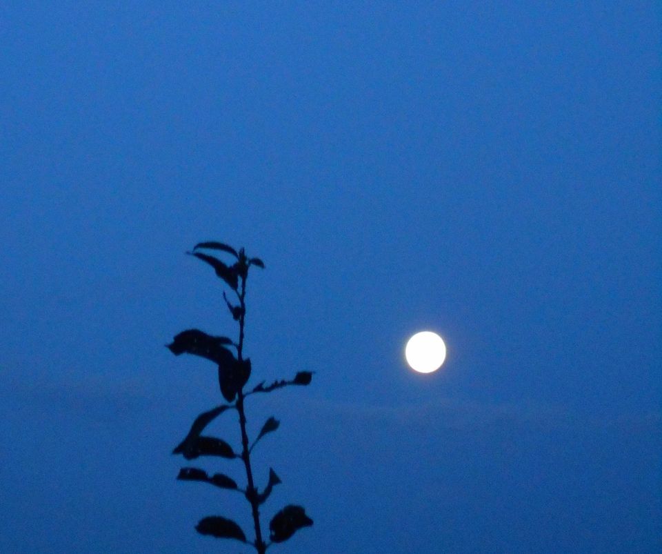 Ausblick auf den Blauen Mond (der nicht wirklich „blau“ ist) Eva Maria Eleni