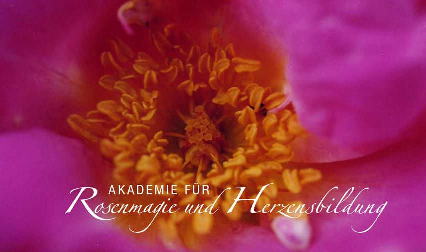 Rosenmagie – Herzbewusstsein – Das LÖWENTOR öffnet sich.