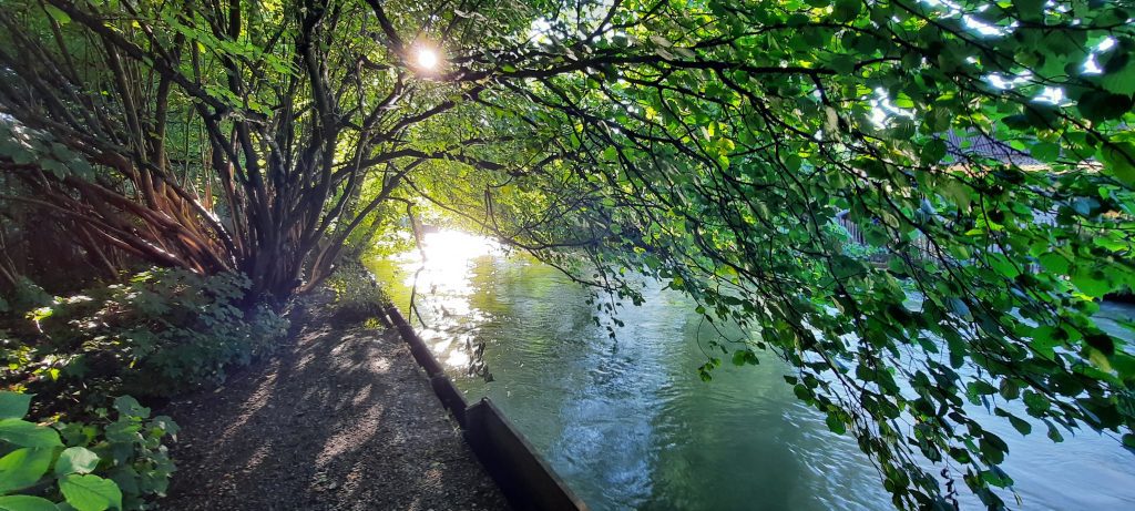 6. September 2023 Neues Bewusstsein wird ab jetzt trainiert I Margit Kaufmann