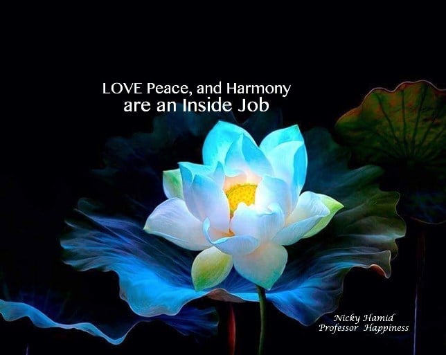 LIEBE, Frieden und Harmonie sind ein Inside-Job, also was FÜR DICH und deinen Wesenskern. Nicky Hamid