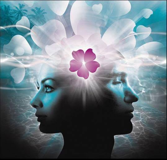Das Ego als Freund. Nicky Hamid