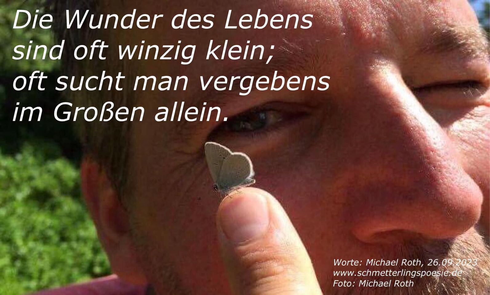 Darf ich vorstellen: Schmetterlingspoesie von Michael Roth