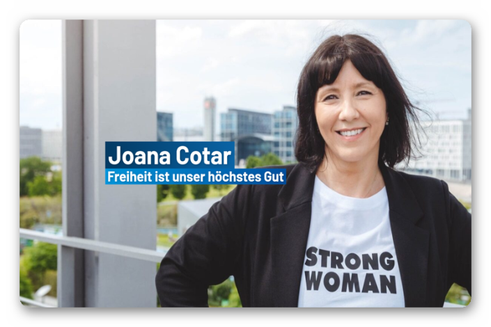 Erklär mir das bitte jemand. Ich verstehe es nämlich wirklich nicht. Von Joana Cotar