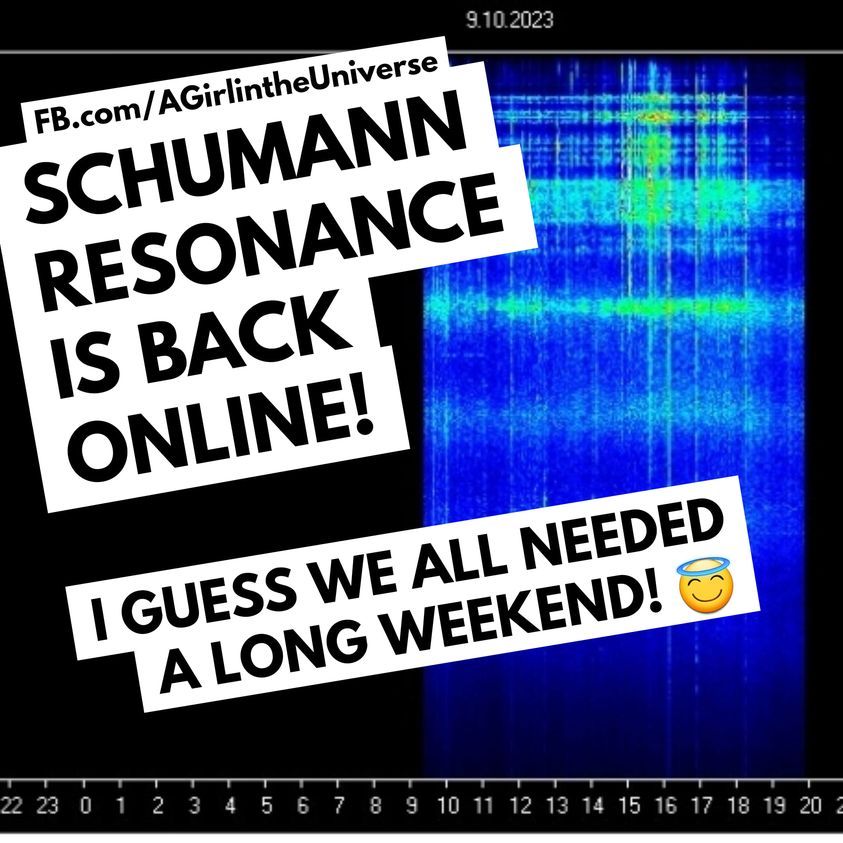 Die Schumann-Resonanz meldet sich wieder einmal (nicht). Sherri Smith