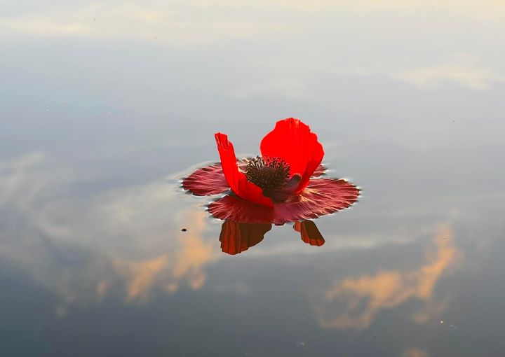 Weben wir eine Welt des Friedens. Adelheid Brunner