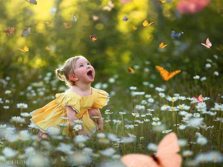 Zu Hause sein. Nicky Hamid