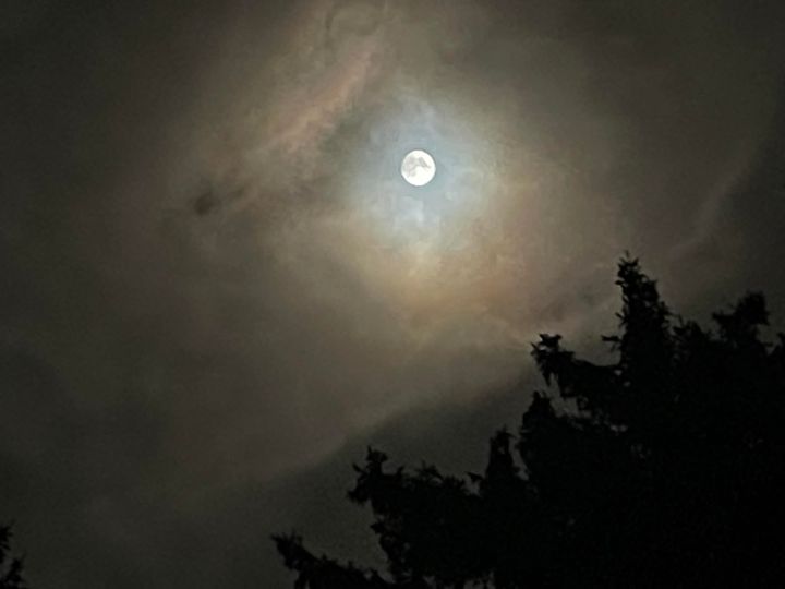 BOTSCHAFT zum VOLLMOND. Adelheid Brunner