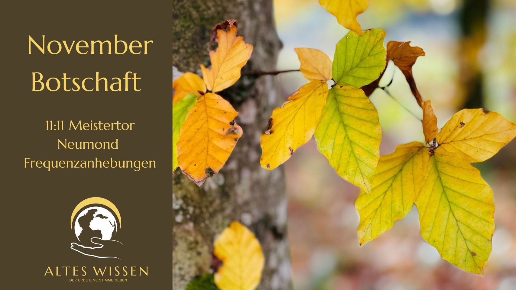 November Video – Neumond – 11:11 Meistertor und die starken Frequenzanhebungen dieser Tage. Adelheid Brunner