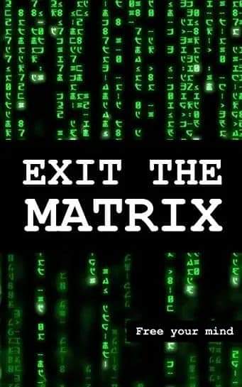Update der kosmischen Energie: Jetzt verlassen wir die Matrix. Ramona Lappin